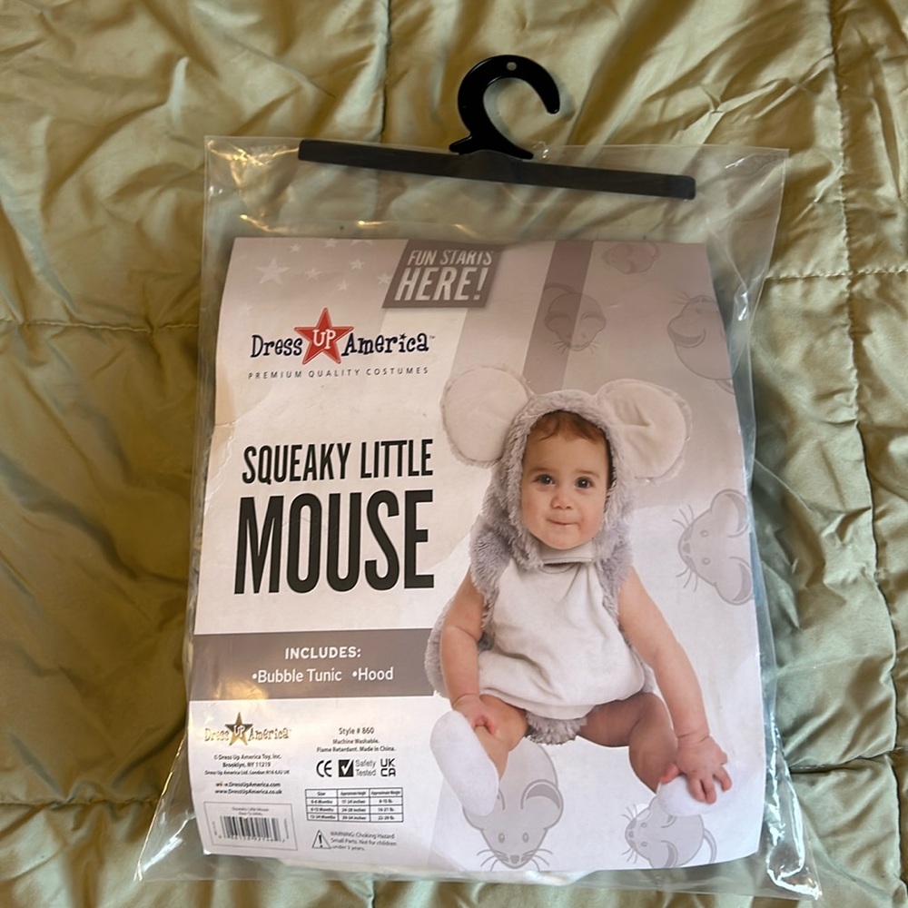 Dress Up America Mouse Costume